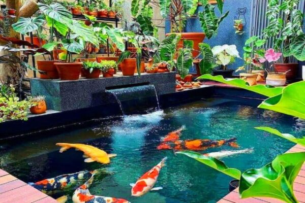 jasa-pembuatan-kolam